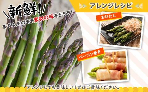 【2026年発送】北海道産 アスパラガス 有機 グリーンアスパラ 1kg前後 サイズ混合 オーガニック アスパラ 旬 朝採り 新鮮 お取り寄せ 産地直送 産直 野菜 農作物