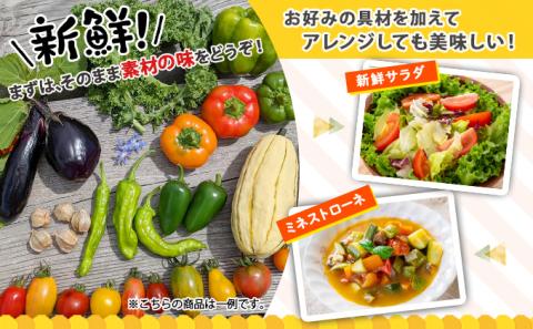北海道産 有機 野菜BOX 8種類 詰め合わせ セット 採れたて 夏野菜 オーガニック 旬 新鮮 詰め合わせ お取り寄せ 産地直送 産直 野菜 農作物 ギフト 送料無料 北海道 倶知安町