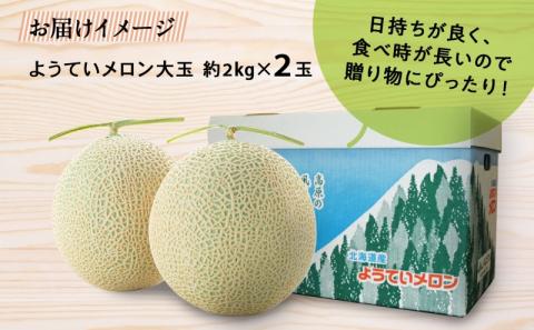 【 2025年発送 】先行予約 北海道 赤肉メロン 大玉 約2kg 2玉 メロン 赤肉 果物 フルーツ 甘い 完熟 スイーツ デザート 産直 国産 贈答品 お祝いギフト羊蹄山 JAようてい