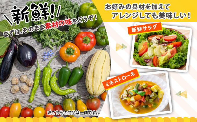 【2026年発送】北海道産 有機 野菜BOX 8種類 詰め合わせ セッ