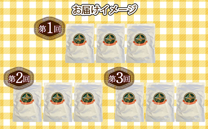 【定期便】毎月1回 計3回 倶知安 チキンレッグスープカレー