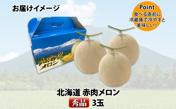 北海道産 赤肉メロン 秀品 3玉 果物 フルーツ お取り寄せ めろん 甘い ギフト メロン グルメ お祝い お土産 旬 メロン スイーツ デザート 羊蹄山 蒔田農園 しりべしや ニセコファーム