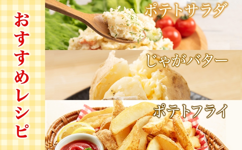 北海道産 じゃがいも きたあかり 10kg 規格外 訳あり S-3L サイズ混合 新じゃが 芋 ジャガイモ 野菜 農作物 お取り寄せ キタアカリ 馬鈴薯 ニセコファーム 送料無料 北海道