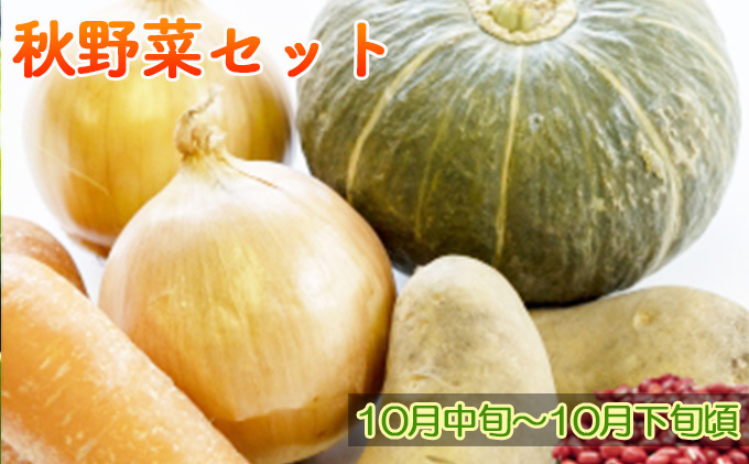 【ニセコファーム】定期便 新鮮 野菜便り 北海道 倶知安町 新鮮 採れたて とうもろこし 夏野菜 じゃがいも 玉ねぎ