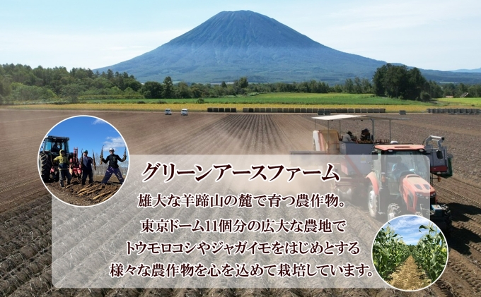 【 2026年 出荷 】 北海道産 朝もぎ イエロー とうもろこし 味来 みらい 2Lサイズ 26本 約10kg 夏野菜 とうきび 新鮮 野菜 トウモロコシ 甘い ギフト 産地直送 コーン 産直 グリーンアースファーム
