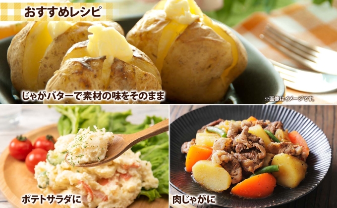 北海道産 じゃがいも とうや Lサイズ 10kg 馬鈴薯 黄爵 ジャガイモ ポテト 芋 いも 旬 イモ 野菜 農作物 産地直送 産直 常温 北海道 お取り寄せ 送料無料 倶知安町