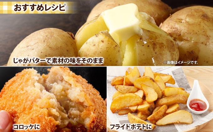 北海道産 じゃがいも 男爵 Lサイズ 10kg 馬鈴薯 男爵いも 男爵イモ だんしゃく ジャガイモ ポテト 芋 いも 旬 イモ 野菜 農作物 産地直送 産直 常温 北海道 お取り寄せ 送料無料 倶知安町