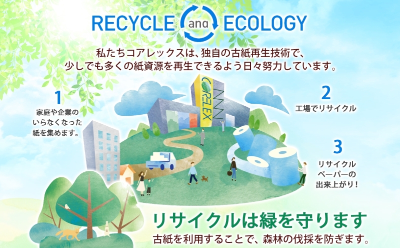 定期便 3ヵ月毎 全3回 ブライティア ソフト ボックス ティッシュ 200組 400枚 15箱 (5箱×3) BOX  ジョイマインドトイレットペーパー ロングロール シングル 72ロール (12ロール×6個パック) 長さ110m 日本製 北海道 倶知安町 日用品