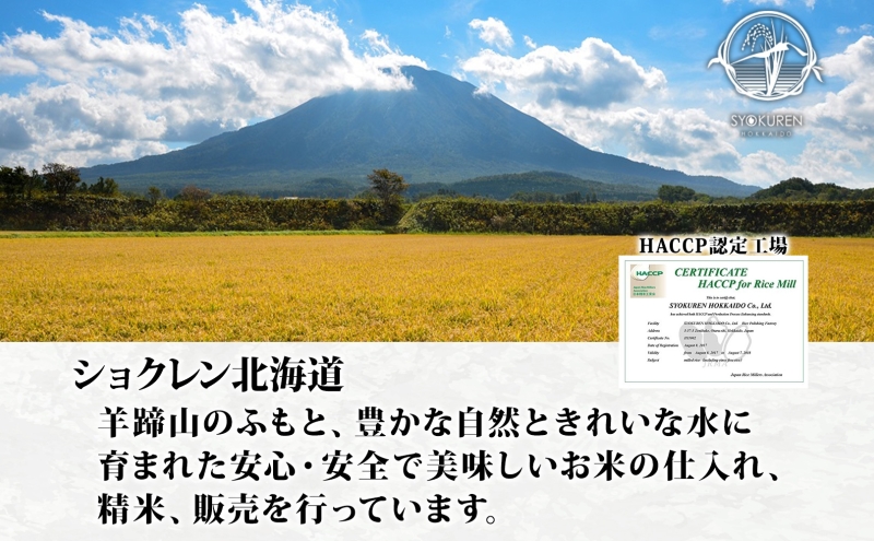 北海道 倶知安町産 ななつぼし 精米 5kg×2袋 計10kg 米 特A 白米 お米 道産米 ブランド米 契約農家 ごはん ご飯 あっさり ふわふわ 国産 人気 お取り寄せ ギフト 贈り物 備蓄 保存 おまとめ買い ショクレン 送料無料 倶知安