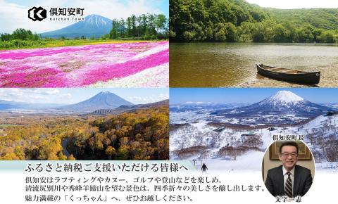 【グリーンシーズン】北海道 トリフィート ホテル ポッドニセコ ペア 宿泊券 朝食付 宿泊 夏季 旅行 観光 リゾート チケット ニセコ アウトドア アクティビティ 送料無料