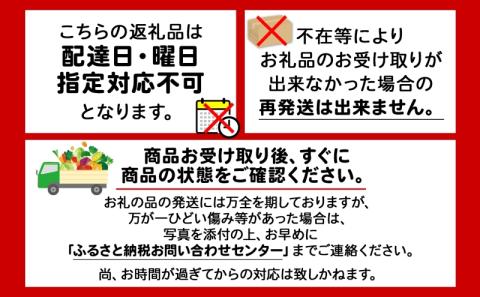 【 2025年発送 】先行予約 北海道 赤肉メロン 大玉 約2kg 2玉 メロン 赤肉 果物 フルーツ 甘い 完熟 スイーツ デザート 産直 国産 贈答品 お祝いギフト羊蹄山 JAようてい