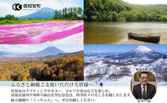 無地熨斗 倶知安 ポークカレー 中辛 計5個 北海道 カレー レ