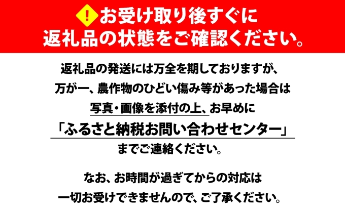 【 2026年 発送 】 北海道産 とうもろこし 2種 計24本 L-2L サイ