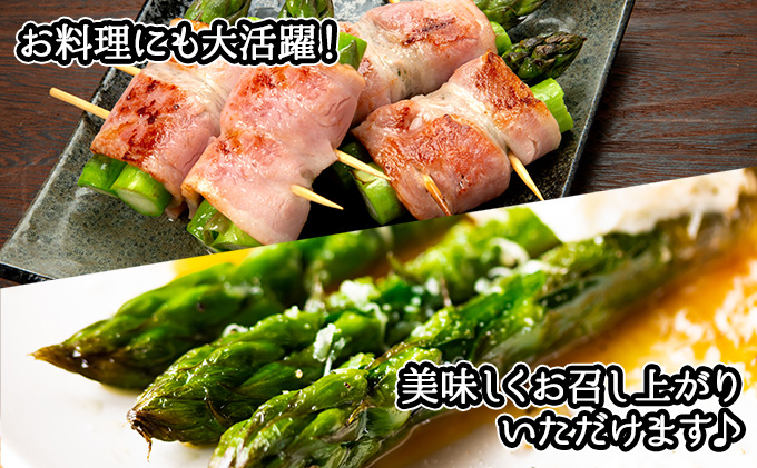 【2026年発送】 アスパラガス 北海道 グリーン 1kg セット Lサイズ 春 限定 旬 朝採り 新鮮 野菜 アスパラ ギフト gift 産地直送 産直 お取り寄せ 詰め合わせ 送料無料