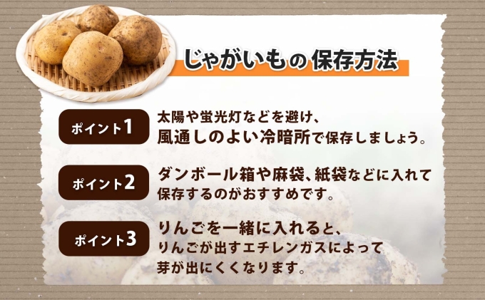 北海道産 じゃがいも 男爵 Lサイズ 10kg 馬鈴薯 男爵いも 男爵イモ だんしゃく ジャガイモ ポテト 芋 いも 旬 イモ 野菜 農作物 産地直送 産直 常温 北海道 お取り寄せ 送料無料 倶知安町