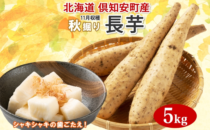 【 2026年 出荷 】 北海道 倶知安町産 長芋 2L×約6本 計5kg 秋堀り 芋 ながいも とろろ 新鮮 フレッシュ 野菜 農作物 産直 山芋 麦とろ 山かけ おつまみ グリーンアースファーム 送料無料 北海道 倶知安町 新鮮野菜