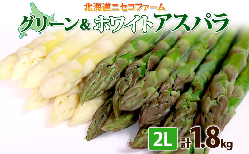 【 2026年 発送 】 北海道産 アスパラガス グリーン ホワイト 2種 約 900g×2 計1.8kg 2L サイズ 食べ比べ アスパラ 旬 朝採り 新鮮 お取り寄せ 産地直送 産直 野菜 農作物 詰め合わせ 国産 しりべしや ニセコファーム