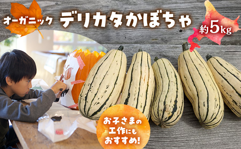 【2026年発送】 オーガニック かぼちゃ デリカタ BOX 約5kg 有機栽培 南瓜 カボチャ 北海道 倶知安 ニセコグリーンファーム