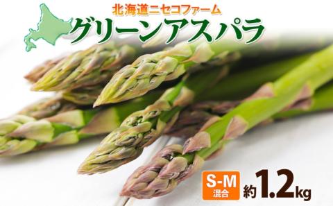 北海道産 グリーン アスパラガス 約1.2kg S - M サイズ混合 アスパラガス アスパラ 旬 朝採り 新鮮 お取り寄せ 産地直送 産直 野菜 農作物 詰め合わせ 国産 送料無料 しりべしや ニセ