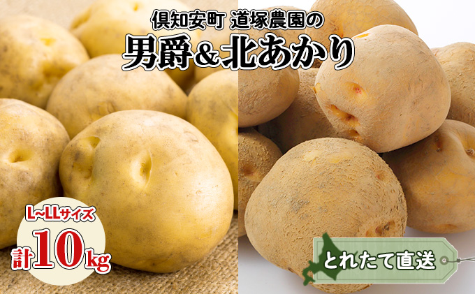 北海道産 道塚農園 じゃがいも 食べ比べ 2種セット 男爵 北あかり 計10kg前後 L-LLサイズ ジャガイモ きたあかり農作物 お取り寄せ【じゃがいも・野菜・芋】