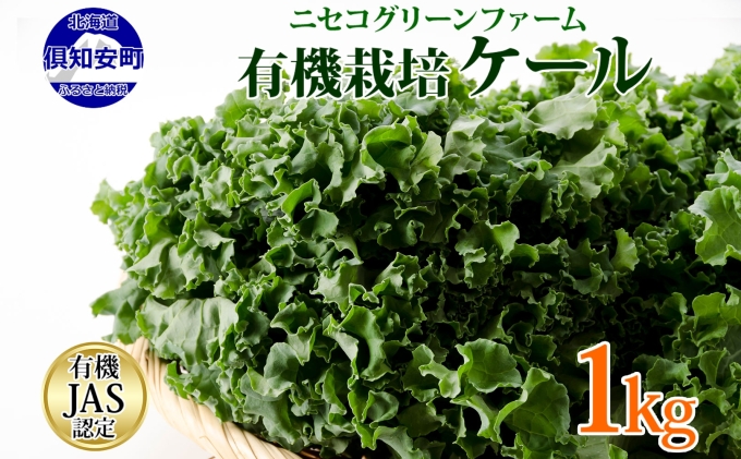 北海道産 旬の有機栽培野菜 ケール 1kg 有機栽培 オーガニック オーガニック野菜 有機野菜 有機jas認証 西洋野菜 ケール 生葉 青汁 スムージー 緑黄色野菜 新鮮 お取り寄せ