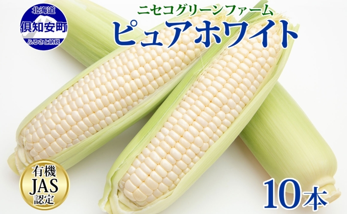 北海道産 旬の有機栽培野菜 ピュアホワイト 10本 3kg以上 とうもろこし 白 有機栽培 オーガニック 有機野菜 有機jas認証 西洋野菜 コーン 新鮮 お取り寄せ 送料無料 ニセコ