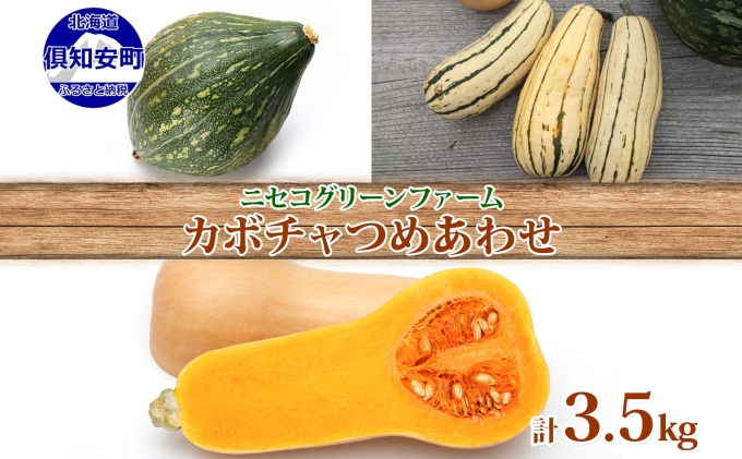 北海道産 旬の有機栽培野菜 かぼちゃ 3.5kg ミニバターナッツ デリカタ ロロン 有機栽培 オーガニック 有機野菜 有機jas認証 西洋野菜 新鮮 お取り寄せ 送料無料 ニセコ