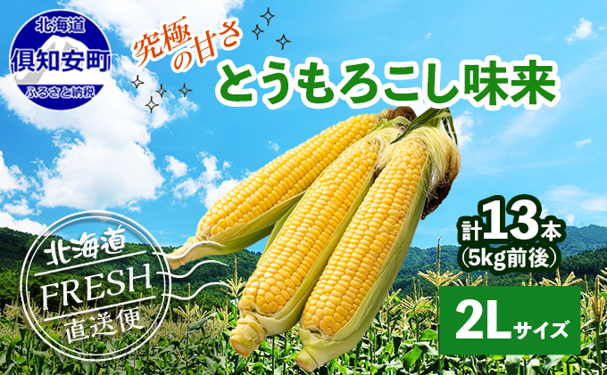 北海道 倶知安町 とうもろこし 味来 みらい 北海道 5kg 2Lサイズ 大きめ 夏野菜 とうきび 旬 新鮮 野菜 トウモロコシ ギフト 産地直送 産直 お取り寄せ 詰め合わせ 送料無料
