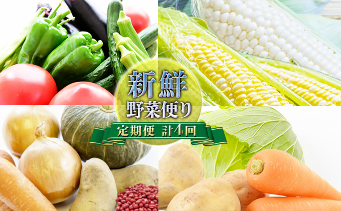 【ニセコファーム】定期便 新鮮 野菜便り 北海道 倶知安町 新鮮 採れたて とうもろこし 夏野菜 じゃがいも 玉ねぎ