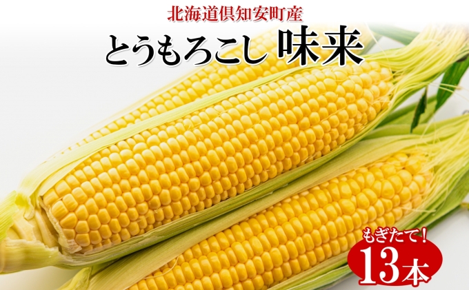 【 2026年 出荷 】 北海道産 朝もぎ イエロー とうもろこし 味来 みらい 2Lサイズ 13本 約5kg 大きめ 夏野菜 とうきび 新鮮 野菜 トウモロコシ ギフト 産地直送 コーン 産直 グリーンアースファーム スイートコーン