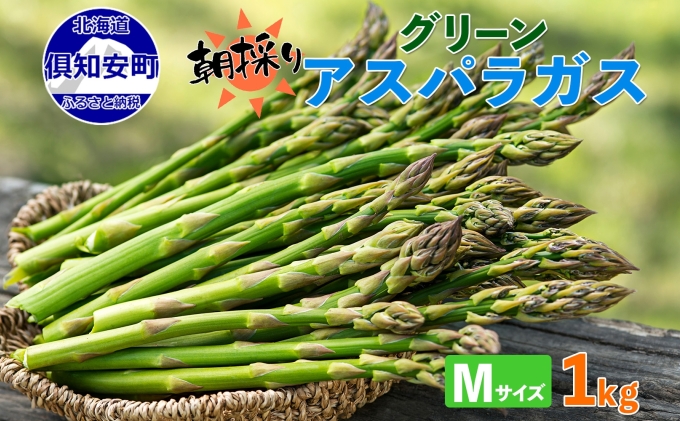【2026年発送】 北海道 アスパラガス グリーン 1kg セット Mサイズ 春 限定 旬 朝採り 新鮮 野菜 アスパラ ギフト gift 産地直送 産直 お取り寄せ 詰め合わせ 送料無料 倶知安町