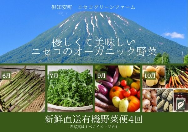 [数量限定]北海道 ニセコ 旬の有機栽培野菜セット 定期配送4回分 オーガニック 野菜詰め合わせ お取り寄せ グルメ