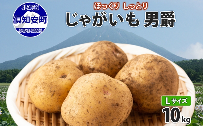 北海道産 じゃがいも 男爵 5kg 規格外 訳あり S-3L サイズ混合 新じゃが 芋 ジャガイモ いも 新鮮 野菜 農作物 お取り寄せ 男しゃく  馬鈴薯 ニセコファーム 送料無料 北海道: 倶知安町ANAのふるさと納税