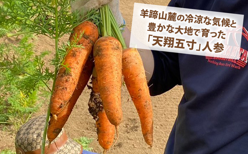 【 訳アリ 】 人参 約 10kg 9月 収穫 予定 リストファーム サイズ 混合 天翔五寸 にんじん 産地直送 野菜