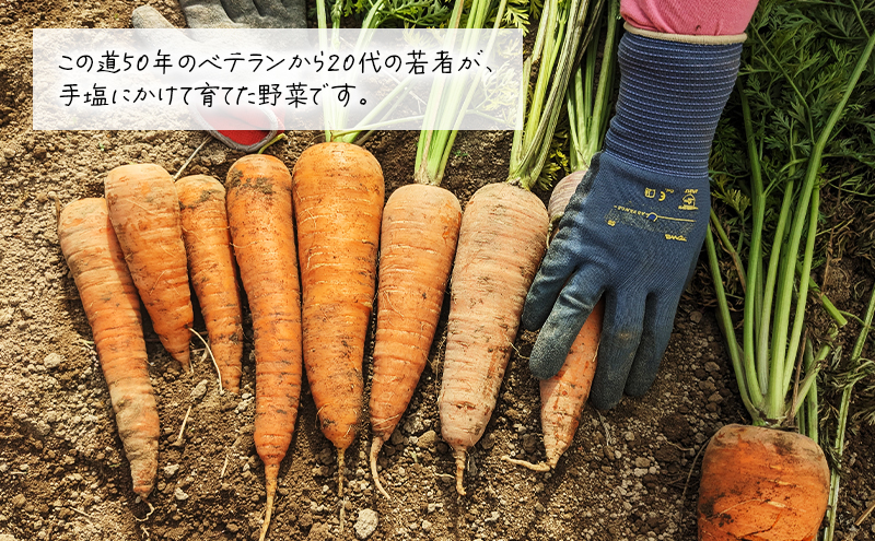 【 訳アリ 】 人参 約 10kg 9月 収穫 予定 リストファーム サイズ 混合 天翔五寸 にんじん 産地直送 野菜