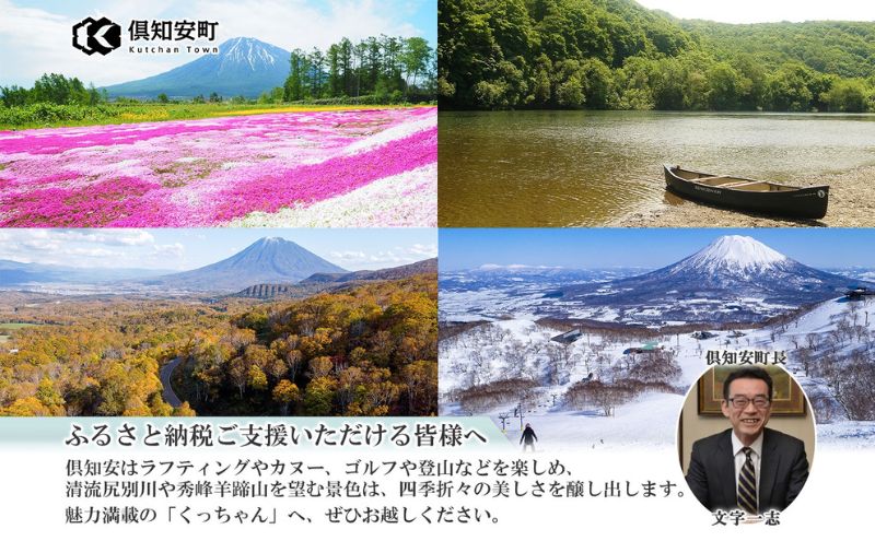 北海道 極旨 スープカレー セット 全2回　チキンレッグスープカレー スープカレー チキンカレー レトルト 食品 野菜 チキン グルメ ゆめぴりか パックごはん 米 ホクレン 白米 ご飯 パック まとめ買い 簡単 レンジ 仕送り 備蓄 常温 保存 北海道