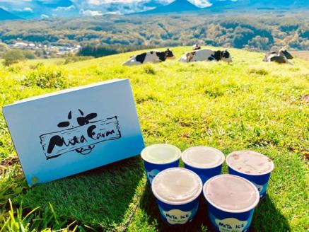 アイス 三田牧場 特製 アイスクリーム 20個 ＋おまけ4個 セット ミルク チョコレート いちごミルク ラムレーズン 抹茶 お菓子