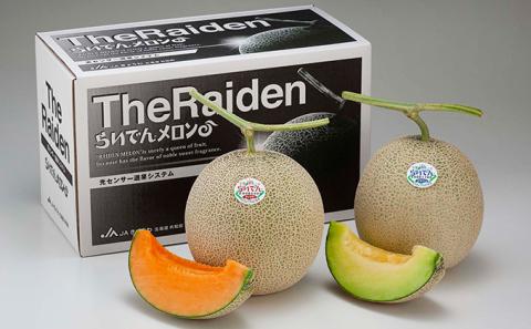 2025年 8月 出荷 先行予約 メロン 北海道 共和町産 らいでんメロン 赤・青 各1玉 セット 赤肉 青肉 詰合せ フルーツ 果物 産地直送 JAきょうわ