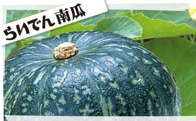 2025年 8月 出荷 先行予約 らいでん 南瓜 ダークホース 6玉 約 10kg かぼちゃ パンプキン 北海道 共和町 産地直送 JAきょうわ