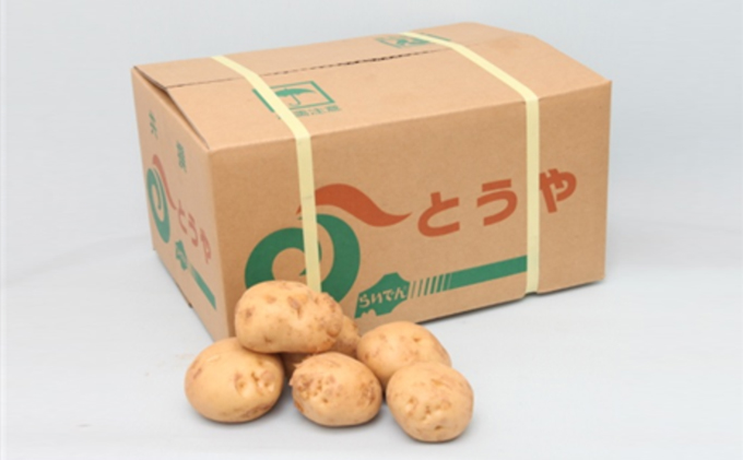 2025年 8月 出荷 先行予約 らいでん 馬鈴薯 とうや L 規格 約 20kg じゃがいも イモ 芋 ポテト 北海道 共和町 産地直送 JAきょうわ