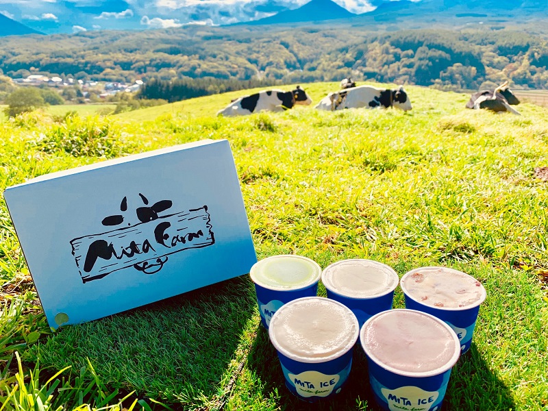 【3ヵ月定期便】アイス 三田牧場 特製 アイスクリーム 20個＋おまけ4個 セット ミルク チョコレート いちごミルク ラムレーズン 抹茶 お菓子