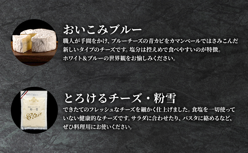 【クレイル特製】カマンベールとぴかいちファームのパスタセット 乳製品 麺類