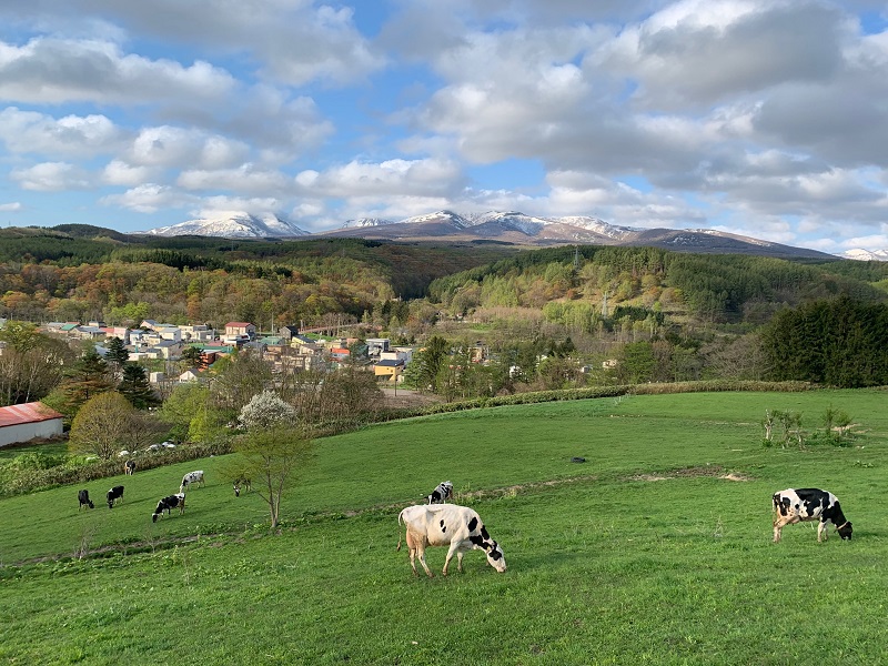 【3ヵ月定期便】アイス 三田牧場 特製 アイスクリーム 10個 セット ミルク チョコレート いちごミルク ラムレーズン 抹茶 お菓子