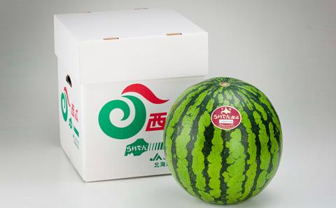 2025年 7月 出荷 先行予約 スイカ 北海道 共和町産 らいでんスイカ 大玉 約6kg フルーツ 果物 産地直送 JAきょうわ