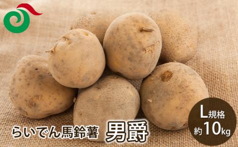 2025年 8月 出荷 先行予約 らいでん 馬鈴薯 男爵 L 規格 約10kg じゃがいも イモ 芋 ポテト 北海道 共和町 産地直送 JAきょうわ