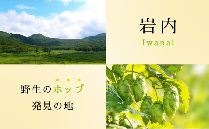 岩内地ビール＆倉島乳業チーズセット F21H-502