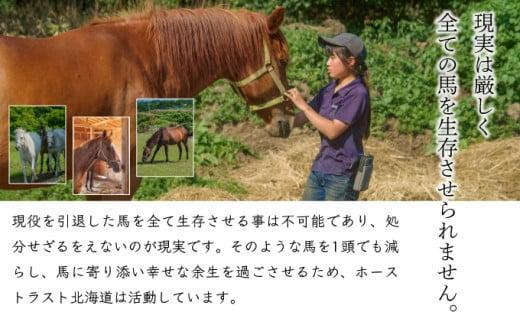【引退競走馬 余生支援】北海道 岩内町 ホーストラスト北海道支援 5000円コース 引退馬 5,000円