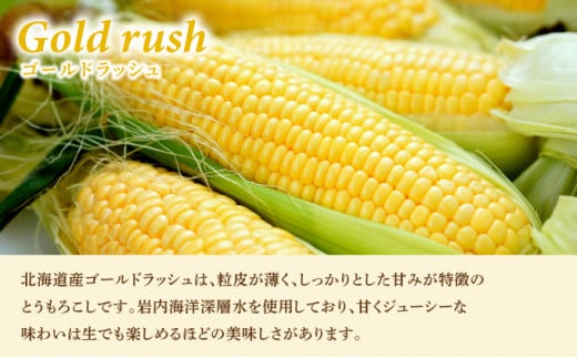 ローソンファーム北海道岩内セット（レトルトとうもろこし＆ジャガバタ―）トウモロコシ とうもろこし じゃがいも 詰め合わせ ローソン レトルト コーン 簡単調理 温めるだけ 一人暮らし F21H-415