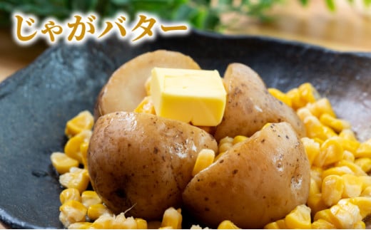 ローソンファーム北海道岩内セット（レトルトとうもろこし＆ジャガバタ―）トウモロコシ とうもろこし じゃがいも 詰め合わせ ローソン レトルト コーン 簡単調理 温めるだけ 一人暮らし F21H-415