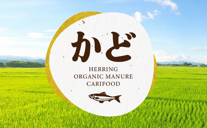 【北海道産お米】ななつぼし5kg　（カド肥料使用）